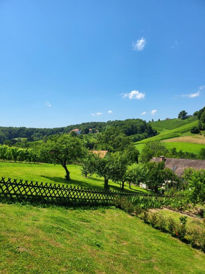 Ferienhaus Zangl Am Seggauberg - Suedsteiermark Leibnitz Esterno foto