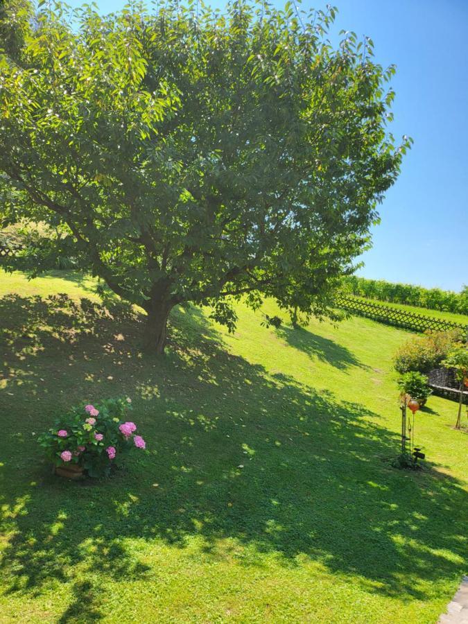 Ferienhaus Zangl Am Seggauberg - Suedsteiermark Leibnitz Esterno foto