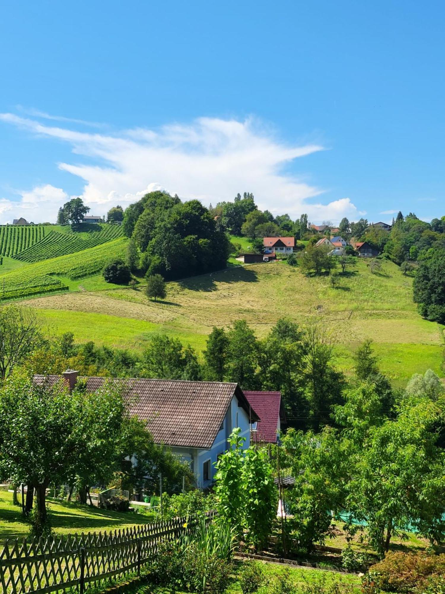 Ferienhaus Zangl Am Seggauberg - Suedsteiermark Leibnitz Esterno foto