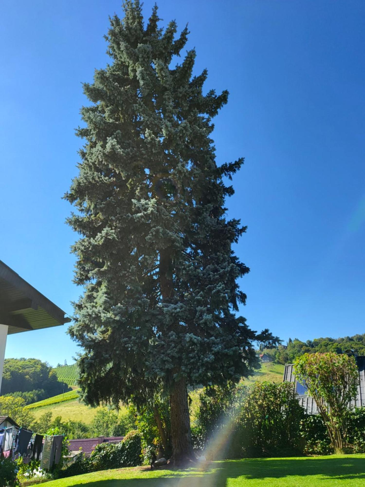 Ferienhaus Zangl Am Seggauberg - Suedsteiermark Leibnitz Esterno foto