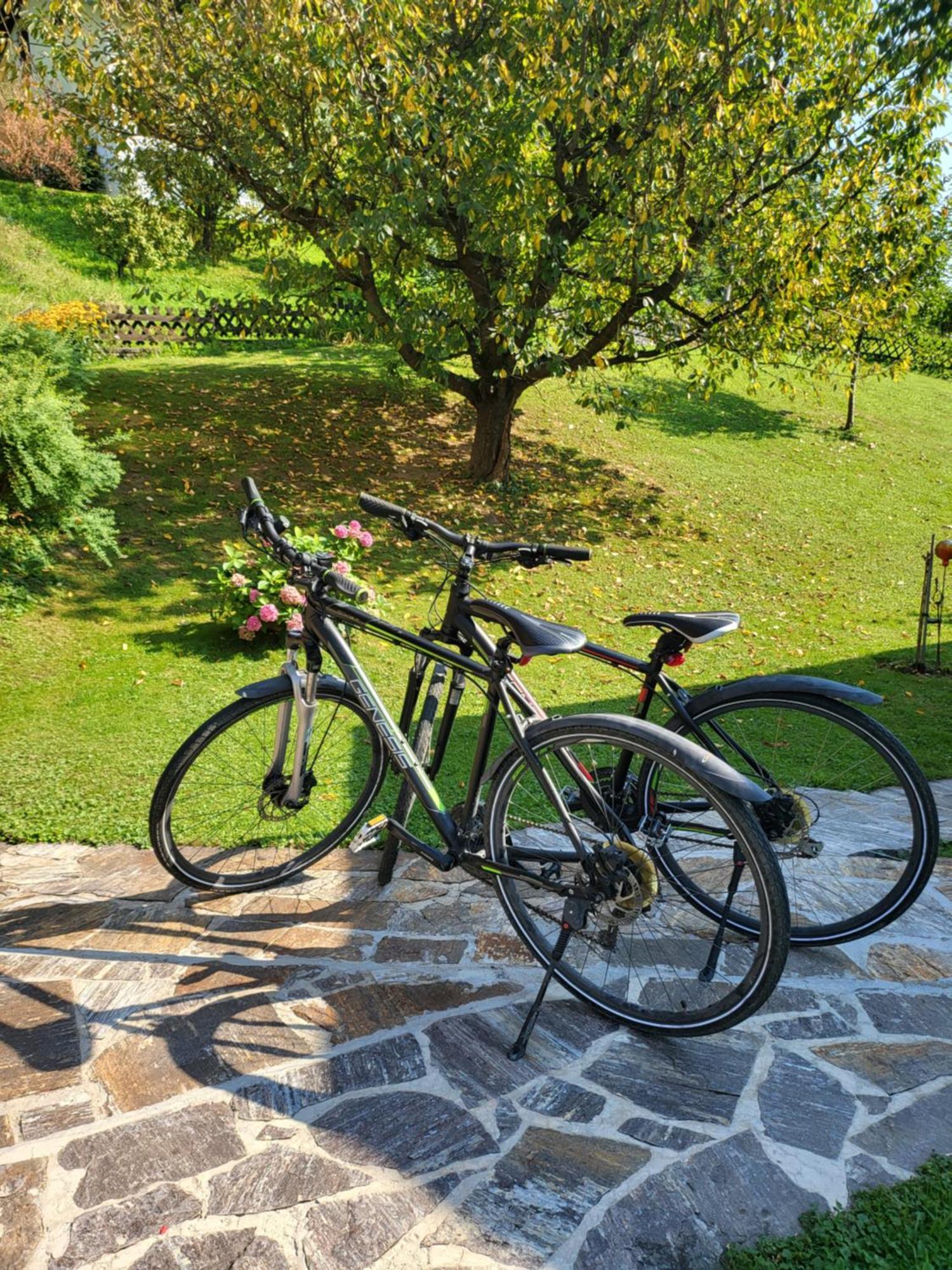 Ferienhaus Zangl Am Seggauberg - Suedsteiermark Leibnitz Esterno foto