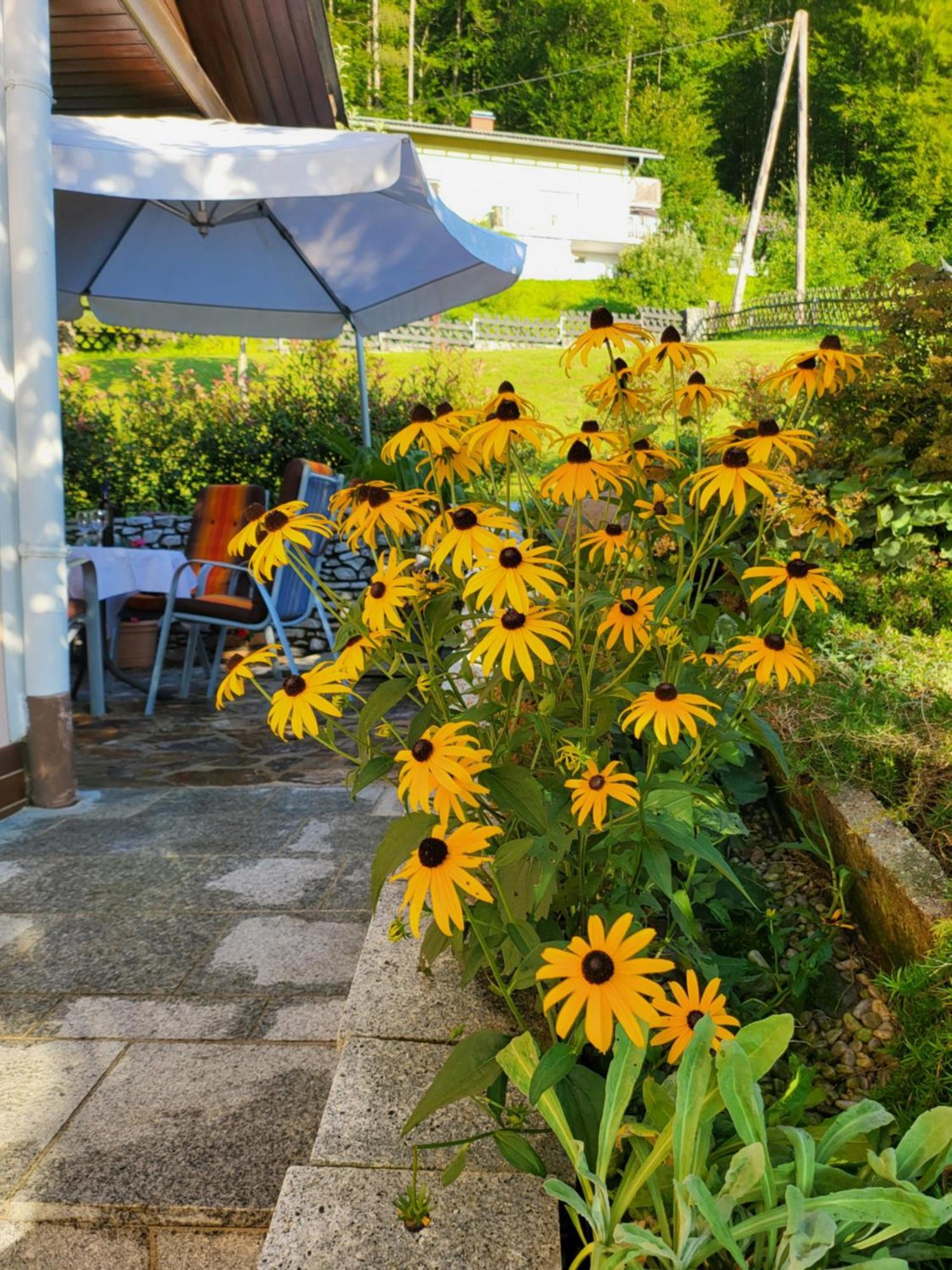 Ferienhaus Zangl Am Seggauberg - Suedsteiermark Leibnitz Esterno foto